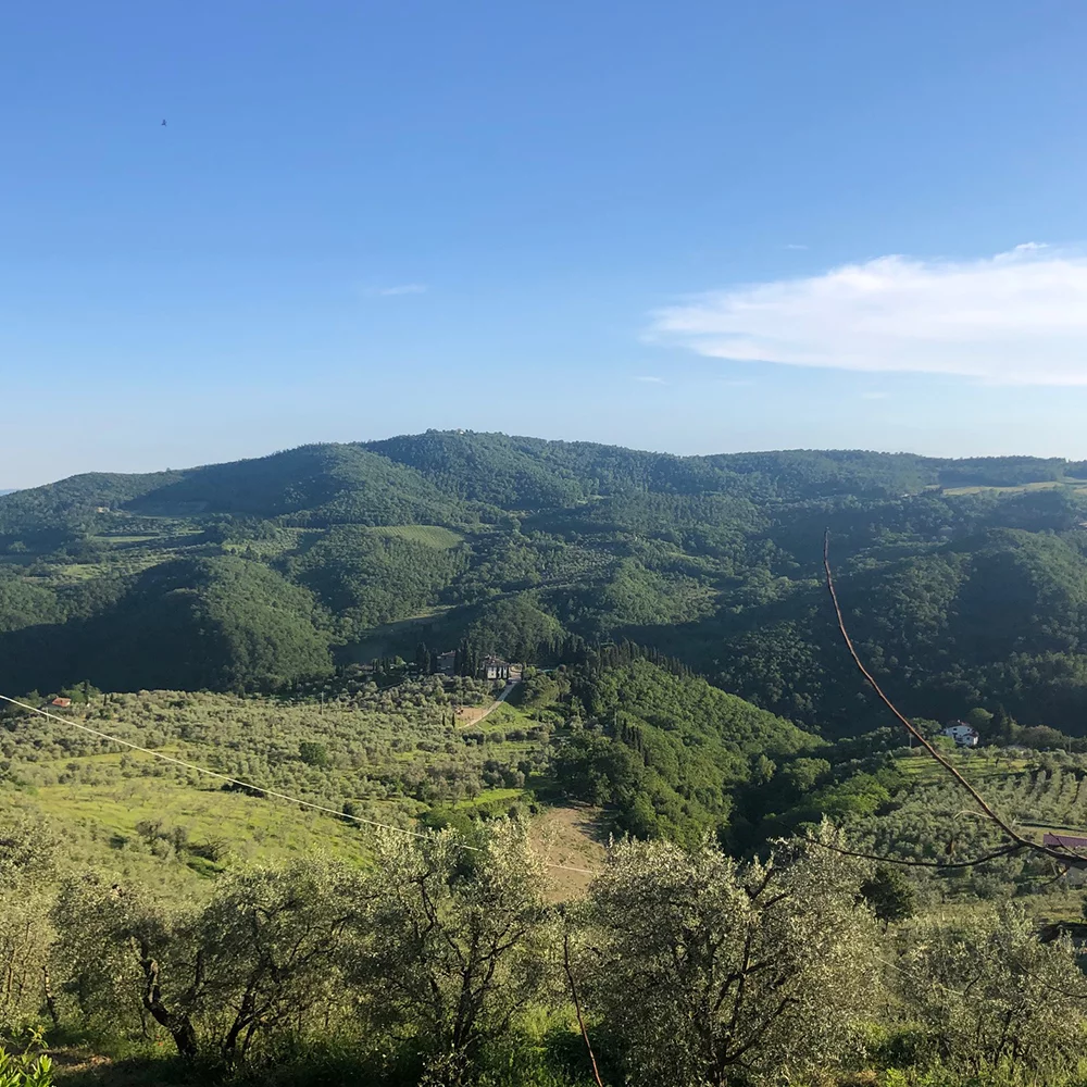 Il Frantoio Pavi